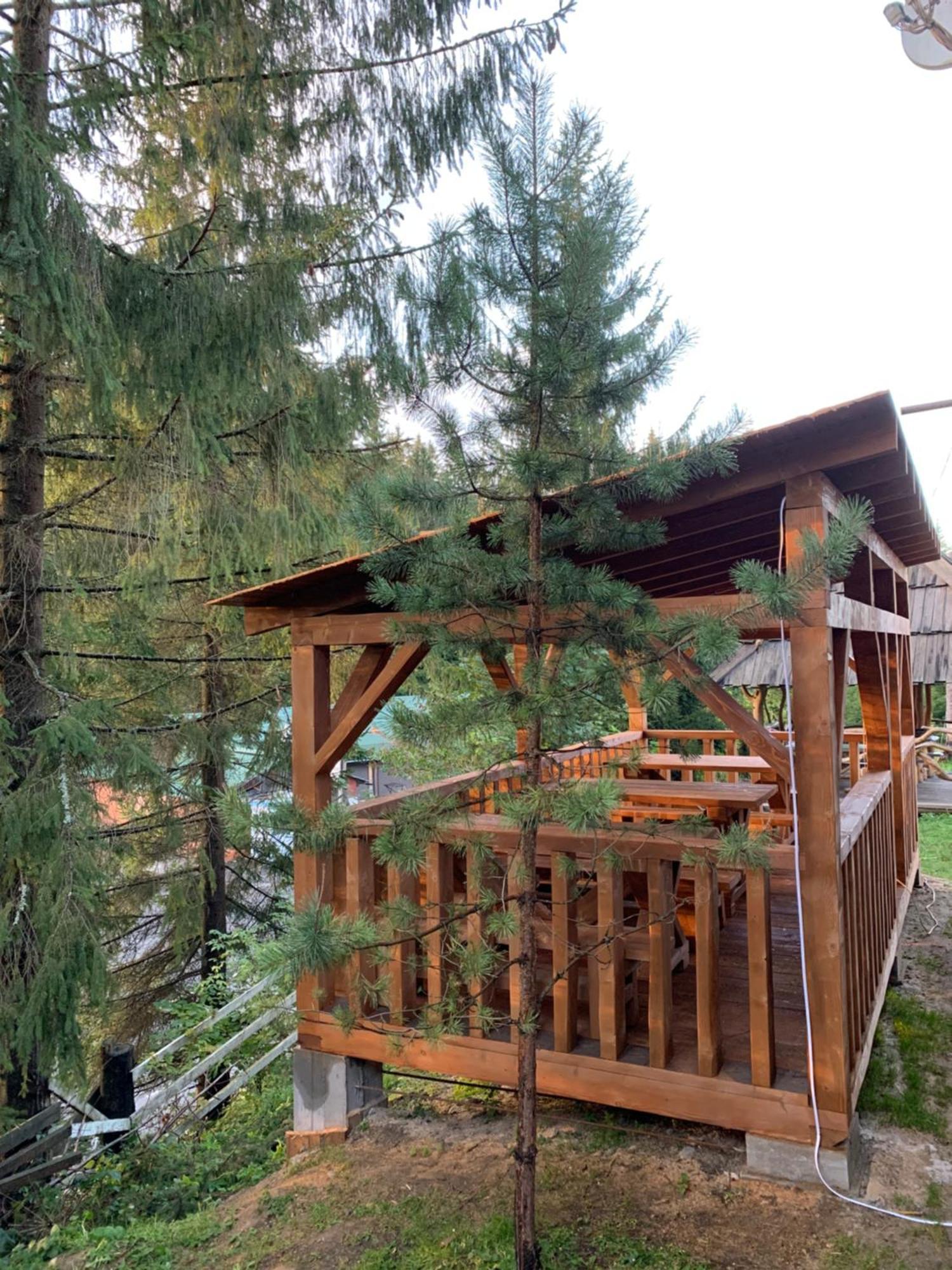 Hotel Novoe Shale 야블루니츠야 외부 사진